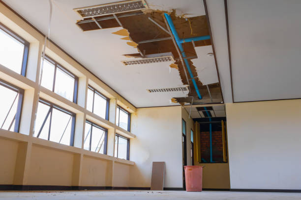 Best Water damage restoration near me  in Stickney, IL