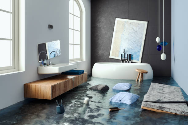 Best Water damage restoration insurance claims  in Stickney, IL