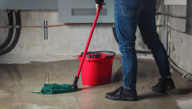 Best Flood damage cleanup  in Stickney, IL