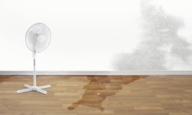 Best 24/7 water damage repair  in Stickney, IL