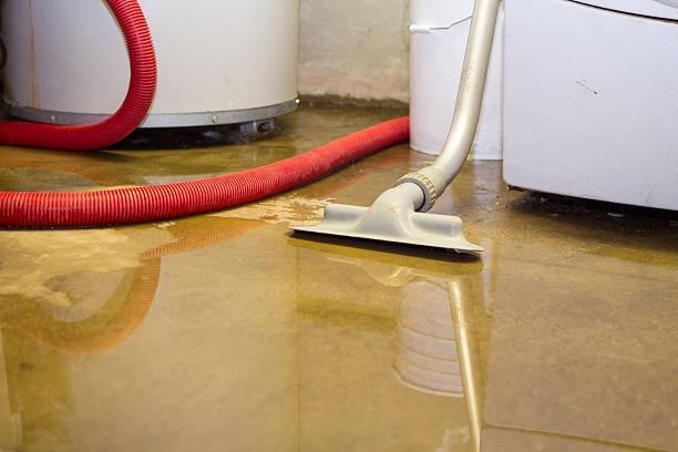 Best Water damage contractors near me  in Stickney, IL