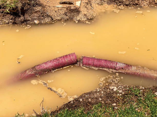 Best 24/7 water damage repair  in Stickney, IL