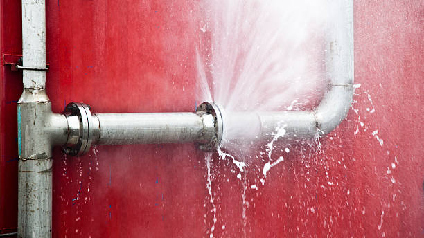 Best Carpet water damage restoration  in Stickney, IL